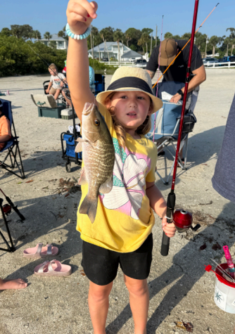 November-December 2025