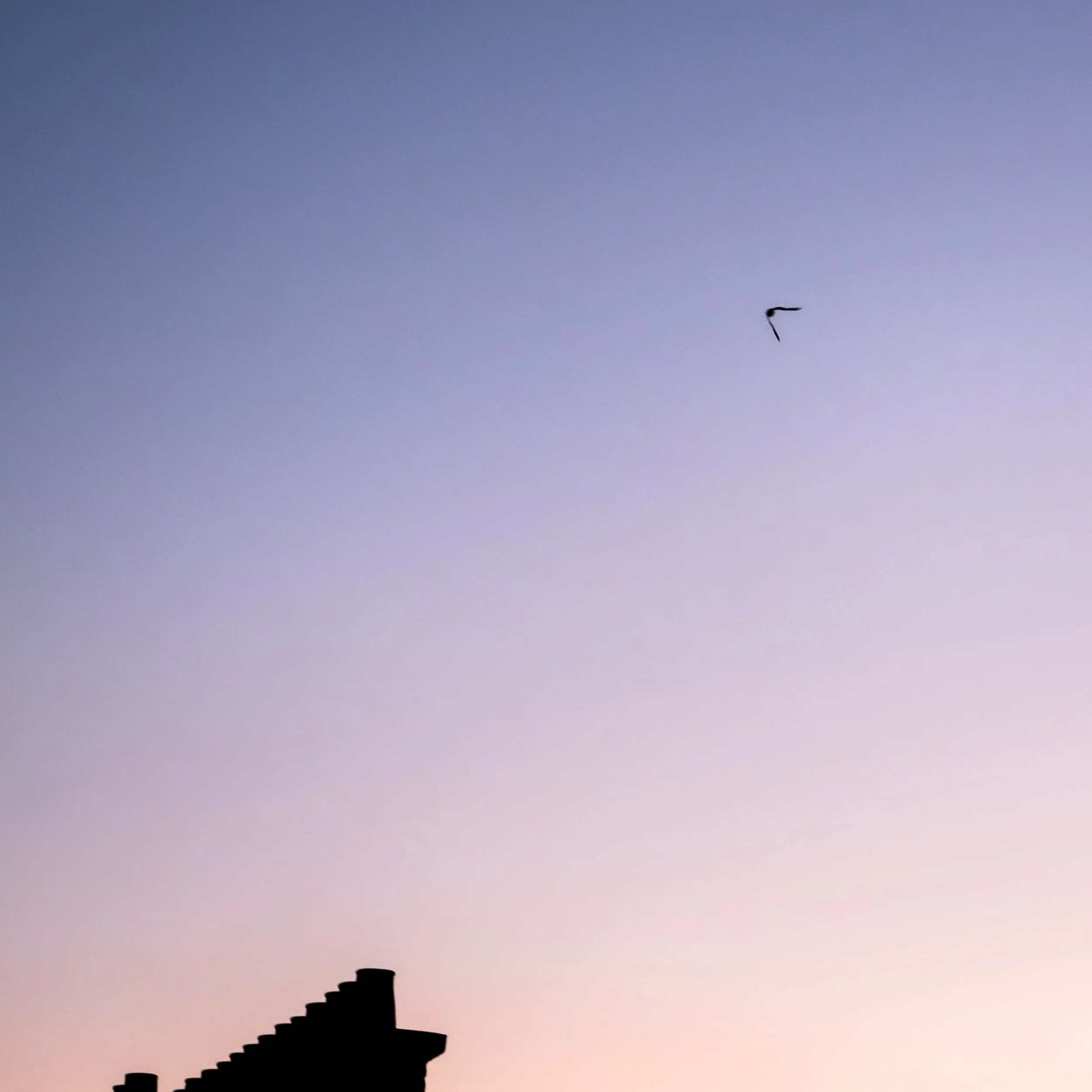 7 Square Charles Laurent Landscapes - 2023-04-03 - 04.JPG