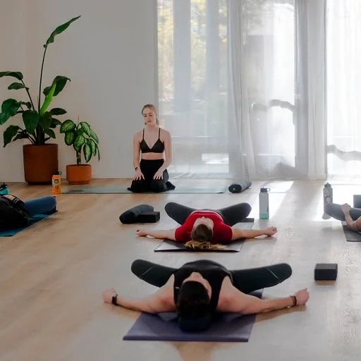 Alignment Fundamentals Workshop:   Saturday Jan 14 &amp; 21, 1:00-2:15 pm. $49 for both sessions