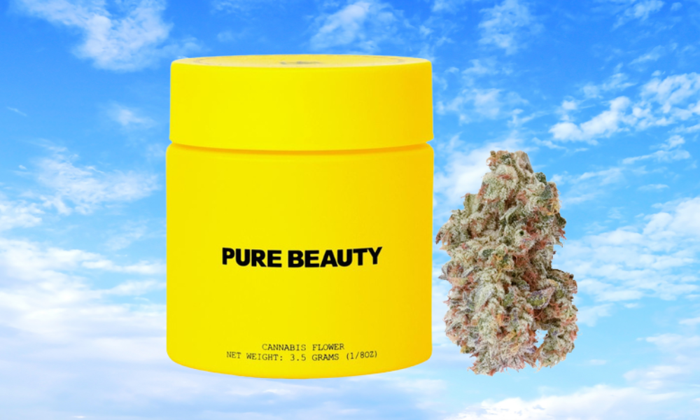 20% off Pure Beauty Flower at Treehouse