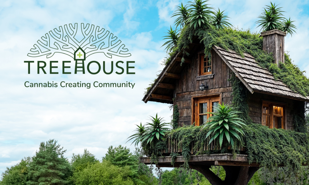 Special Savings at Treehouse in Soquel