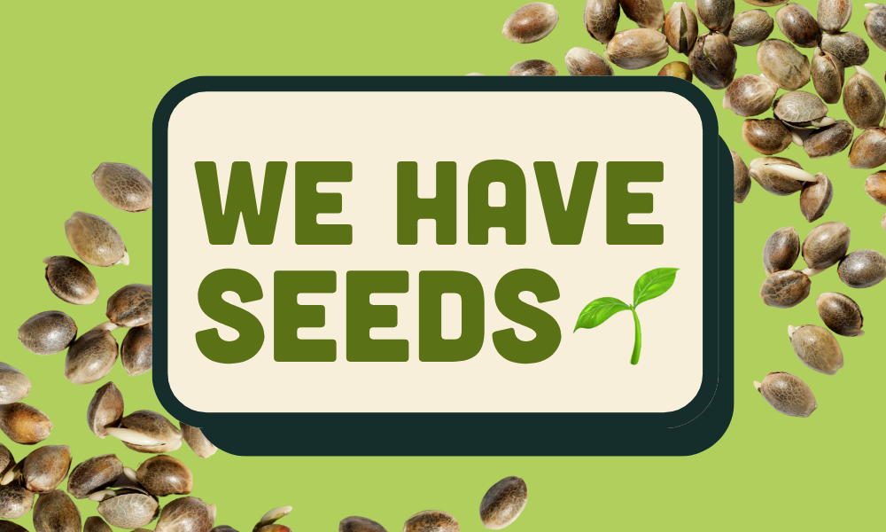 Source seeds at Treehouse in Soquel