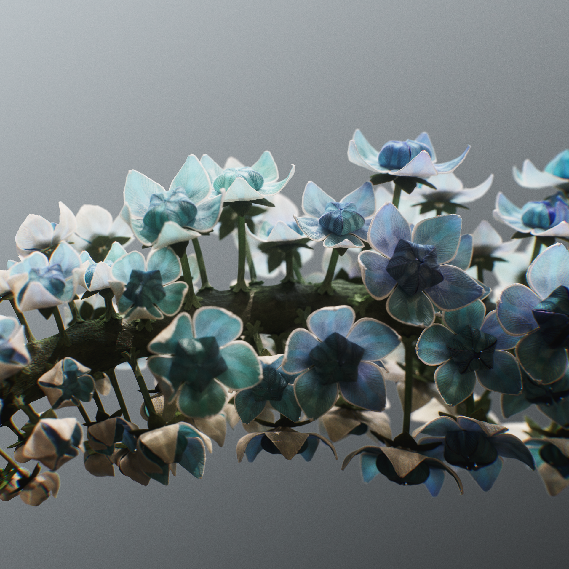 ZC_Starburst_Square_Comp_A_v001 (0-00-07-11).png