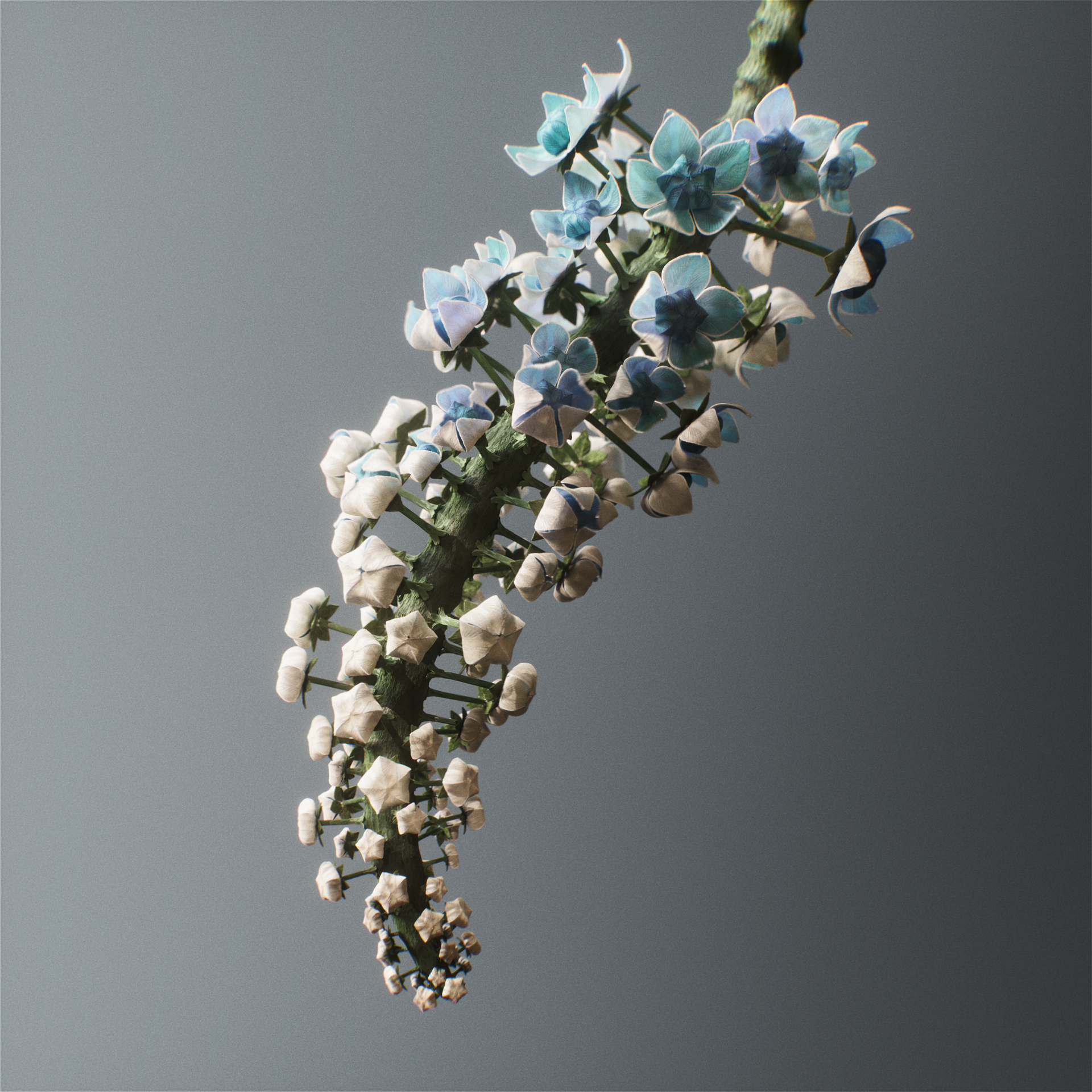 ZC_Starburst_Square_Comp_A_v001 (0-00-02-10).png