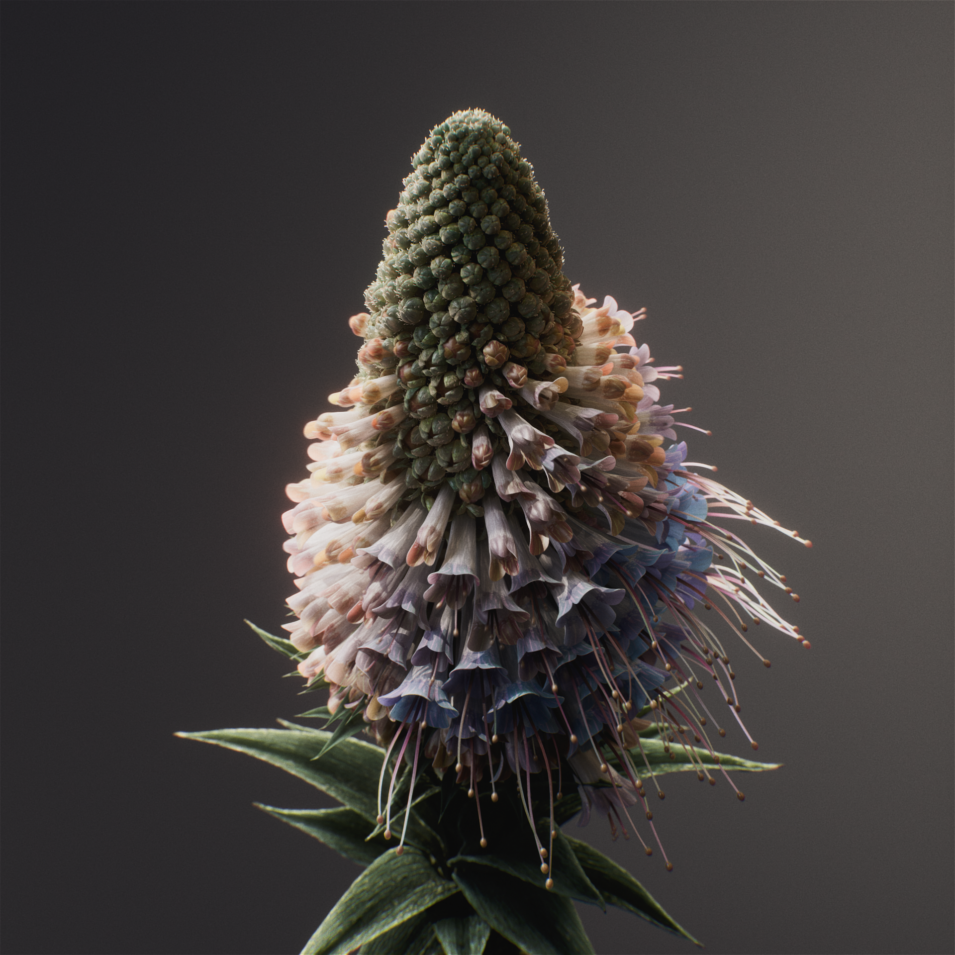 ZC_ConeClones_Square_Comp_A_v001 (0-00-08-13).png