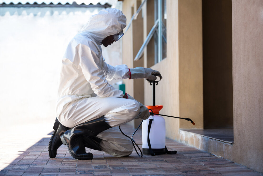 Pest Exterminator In Salt Lake City