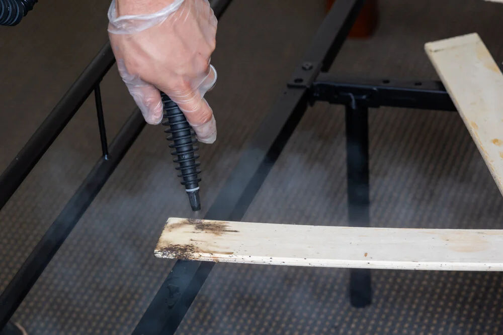 Handling Bed Bug Infestation the Right Way