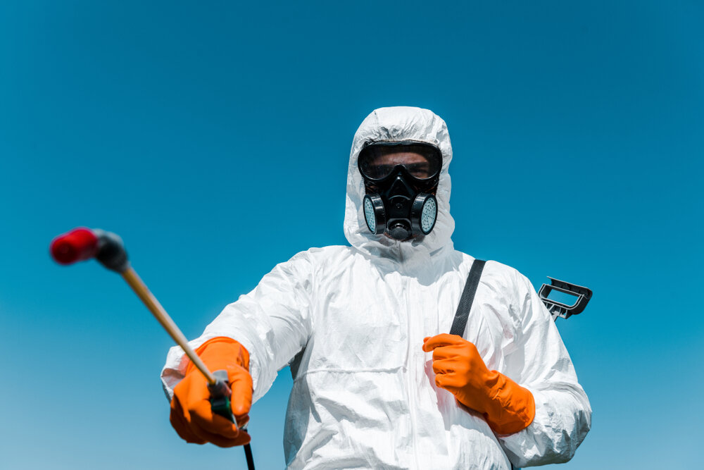 Difference between Pest Control and Exterminators