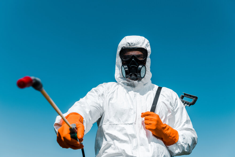 Commercial Pest Control In Las Vegas