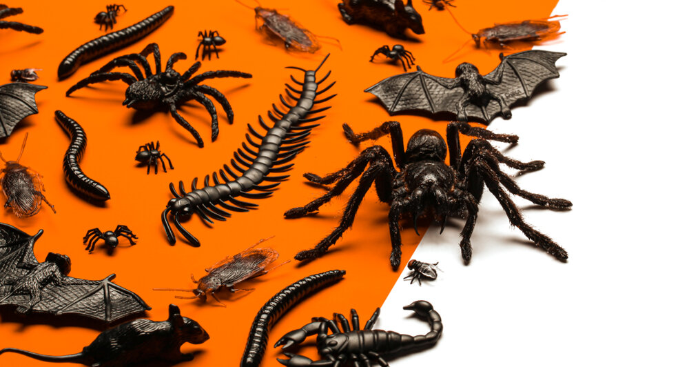 Who Is an Exterminator A Complete Round Up?