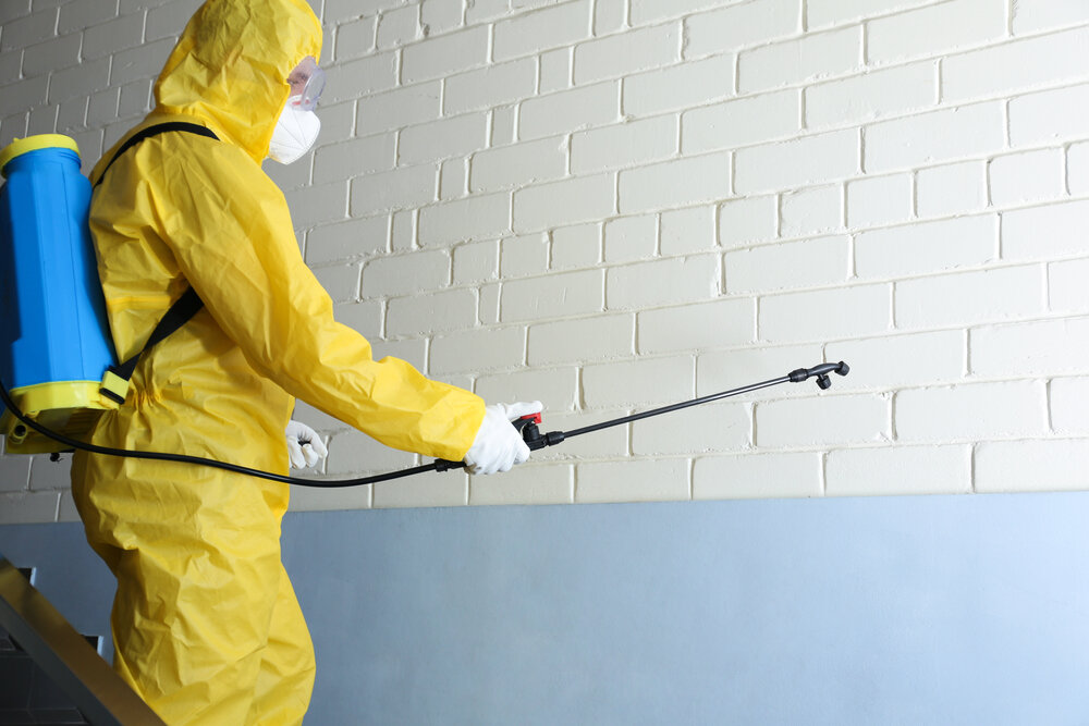 Commercial Pest Control In Las Vegas