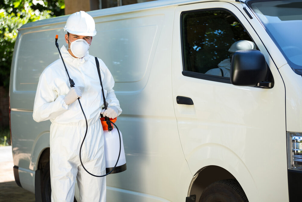 Pest Control Solutions In Spokane