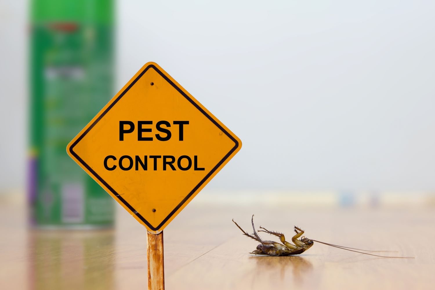 Pest Control Methods 
