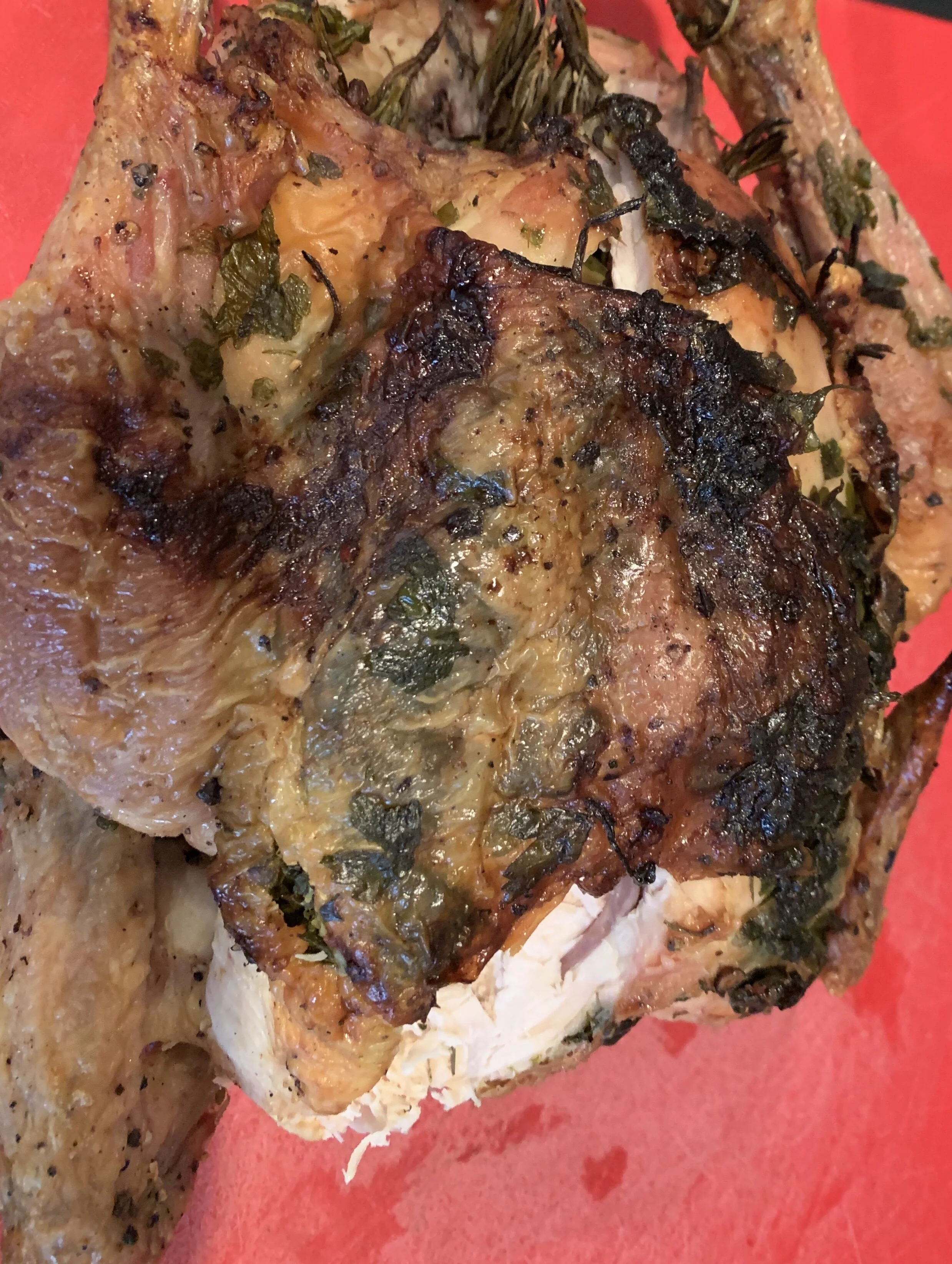 The restorative effect of Zuni Chicken