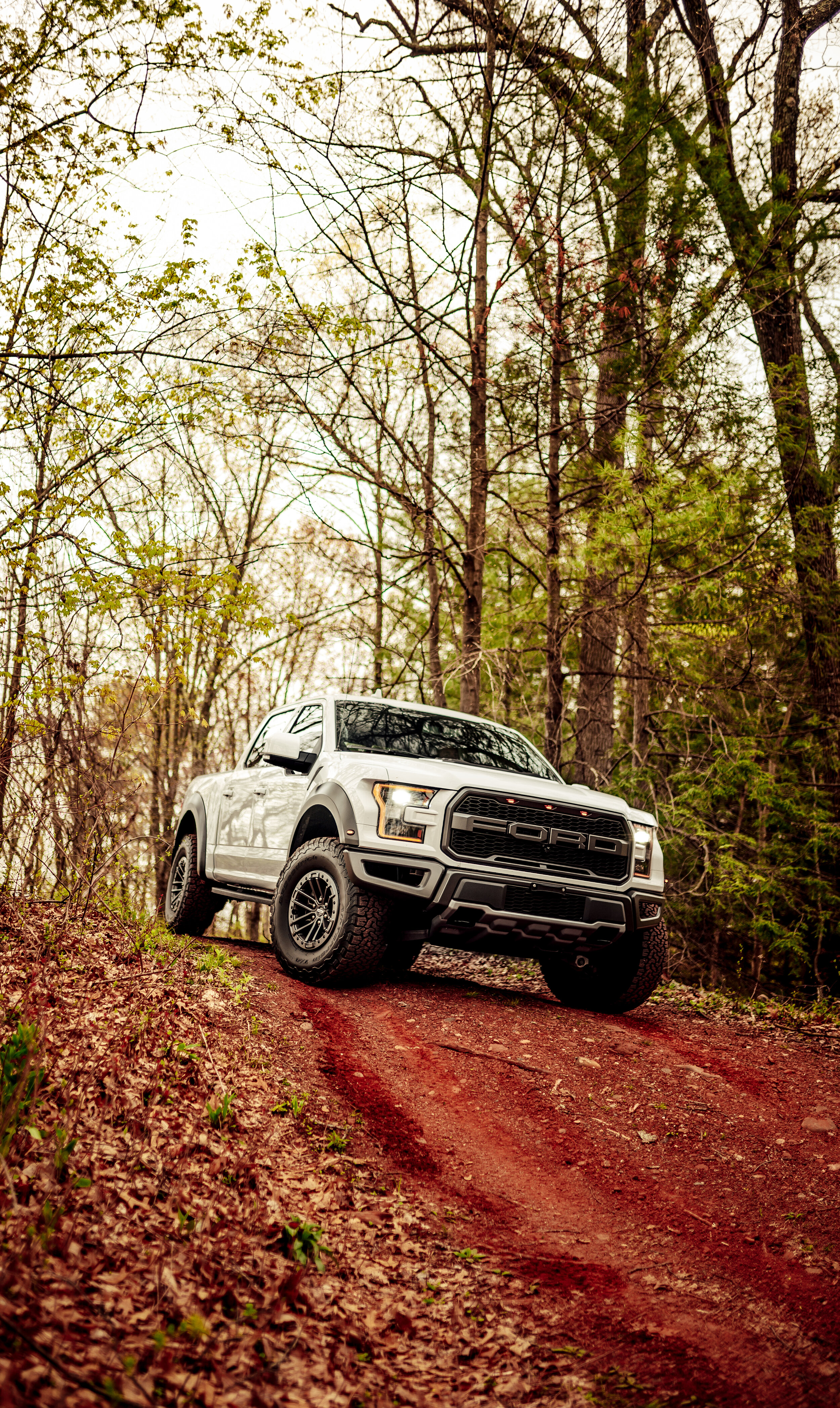 raptor (1 of 1).JPG