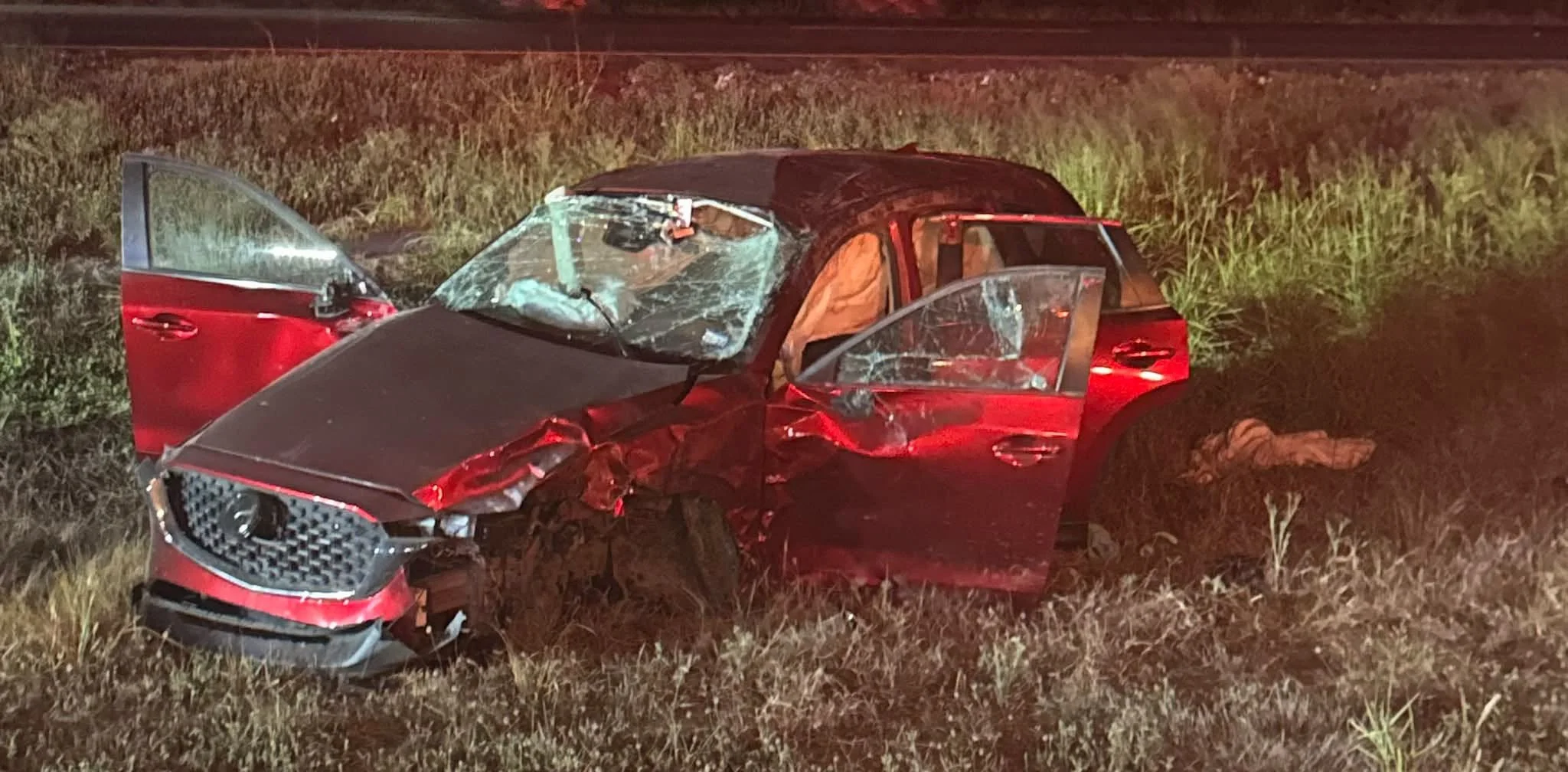 Family of Three Injured After Car Strikes Cow on US 77 Near Odem