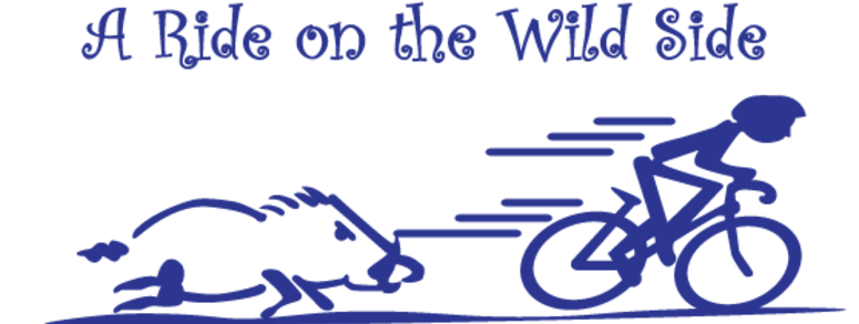 Ride on the Wild Side 2025