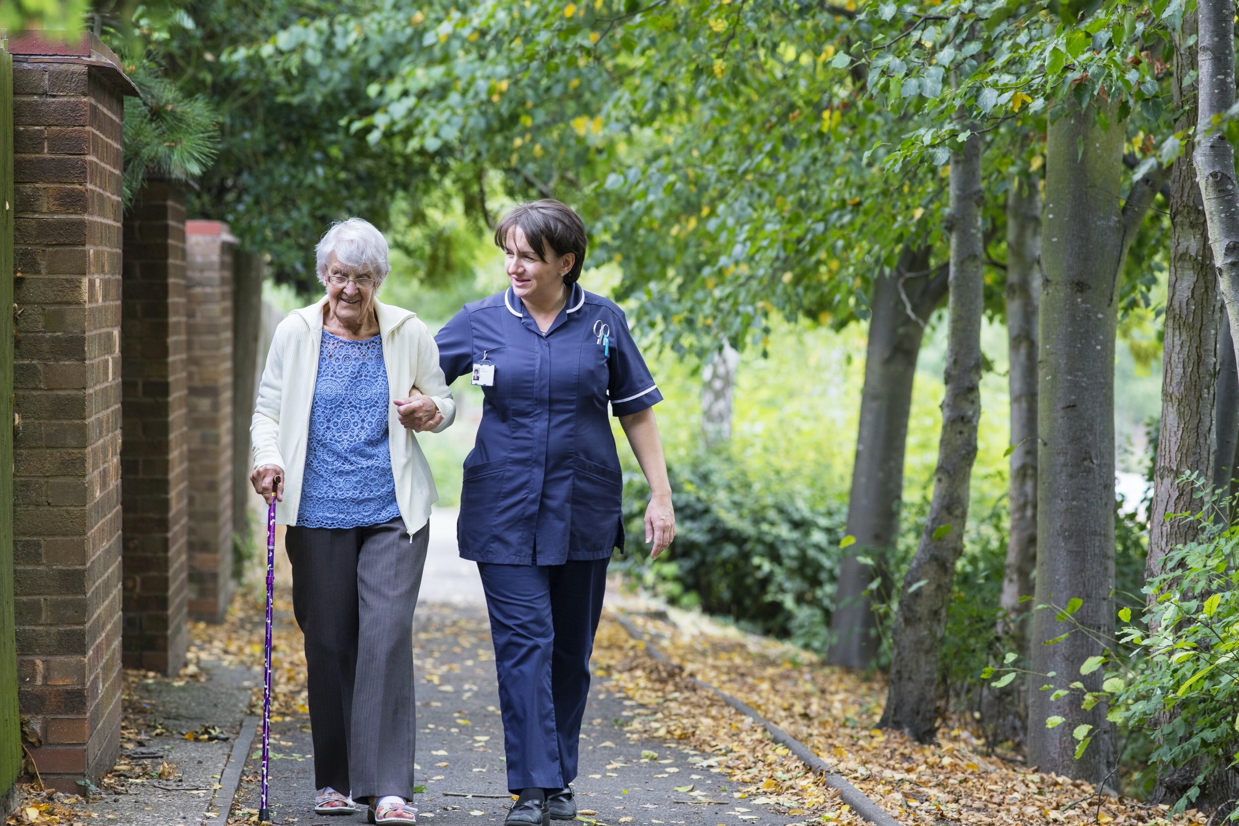 Initiative to Support Family Caregivers of Aging Americans