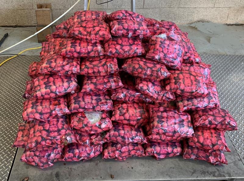 Intercepting Narcotics at Pharr International Bridge