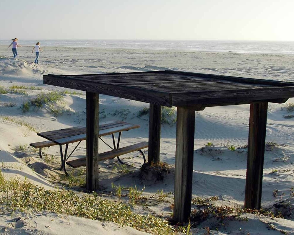 Area Development Plan Presented - Padre/Mustang Island