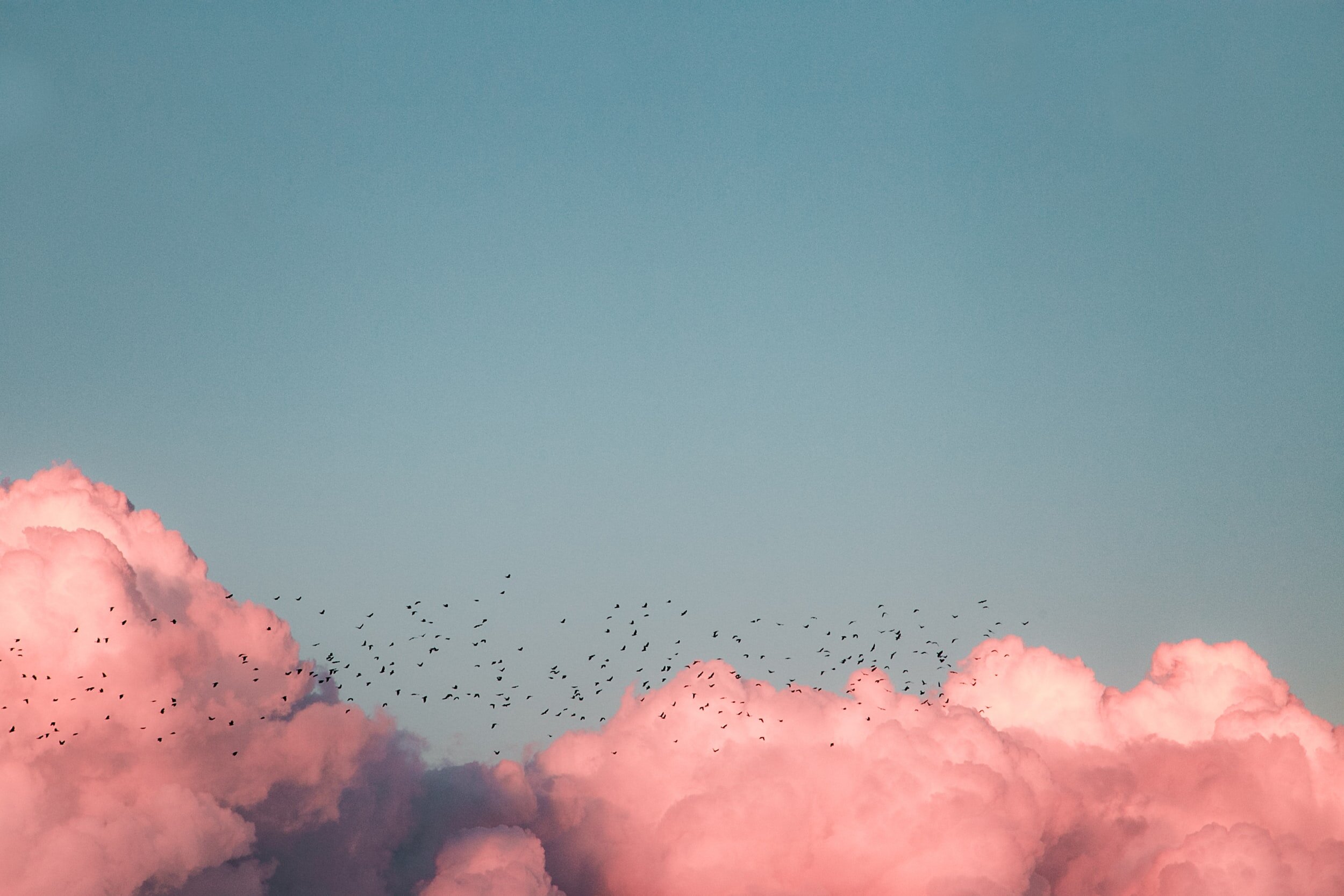 Coastal Bend Air Quality