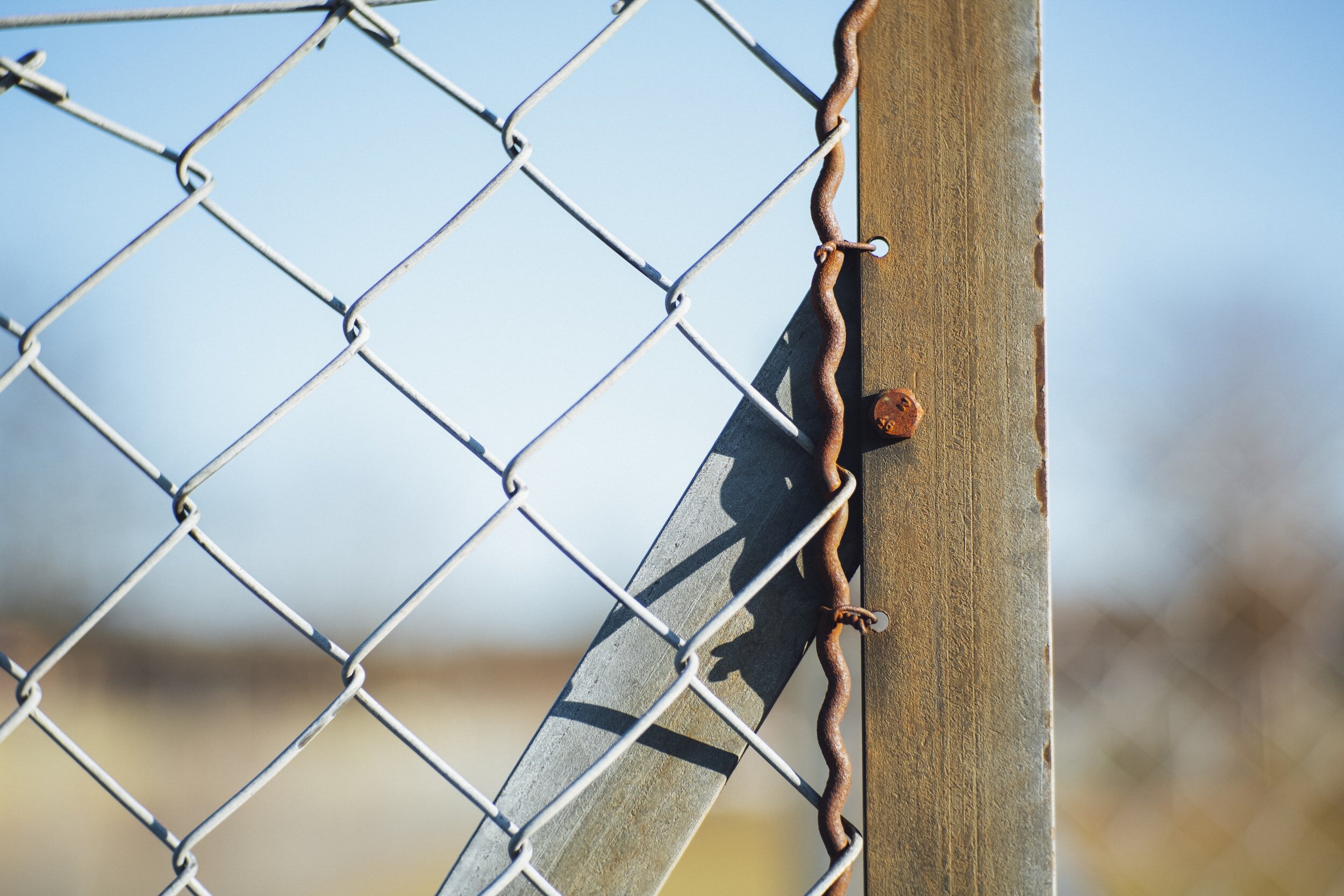 98% of the Donations to Fund the Texas Border Wall Came From One Billionaire