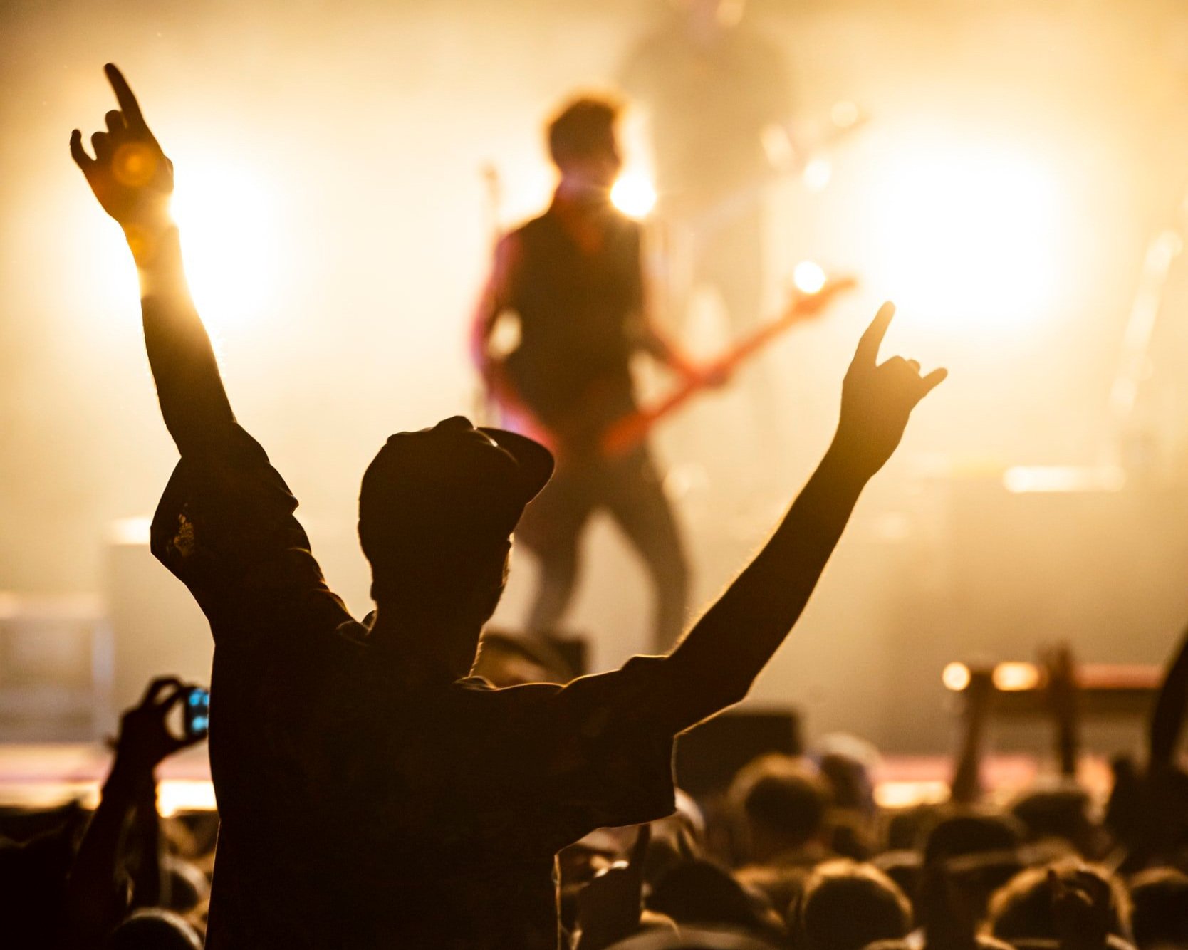 Texas Creates New Task Force on Concert Safety