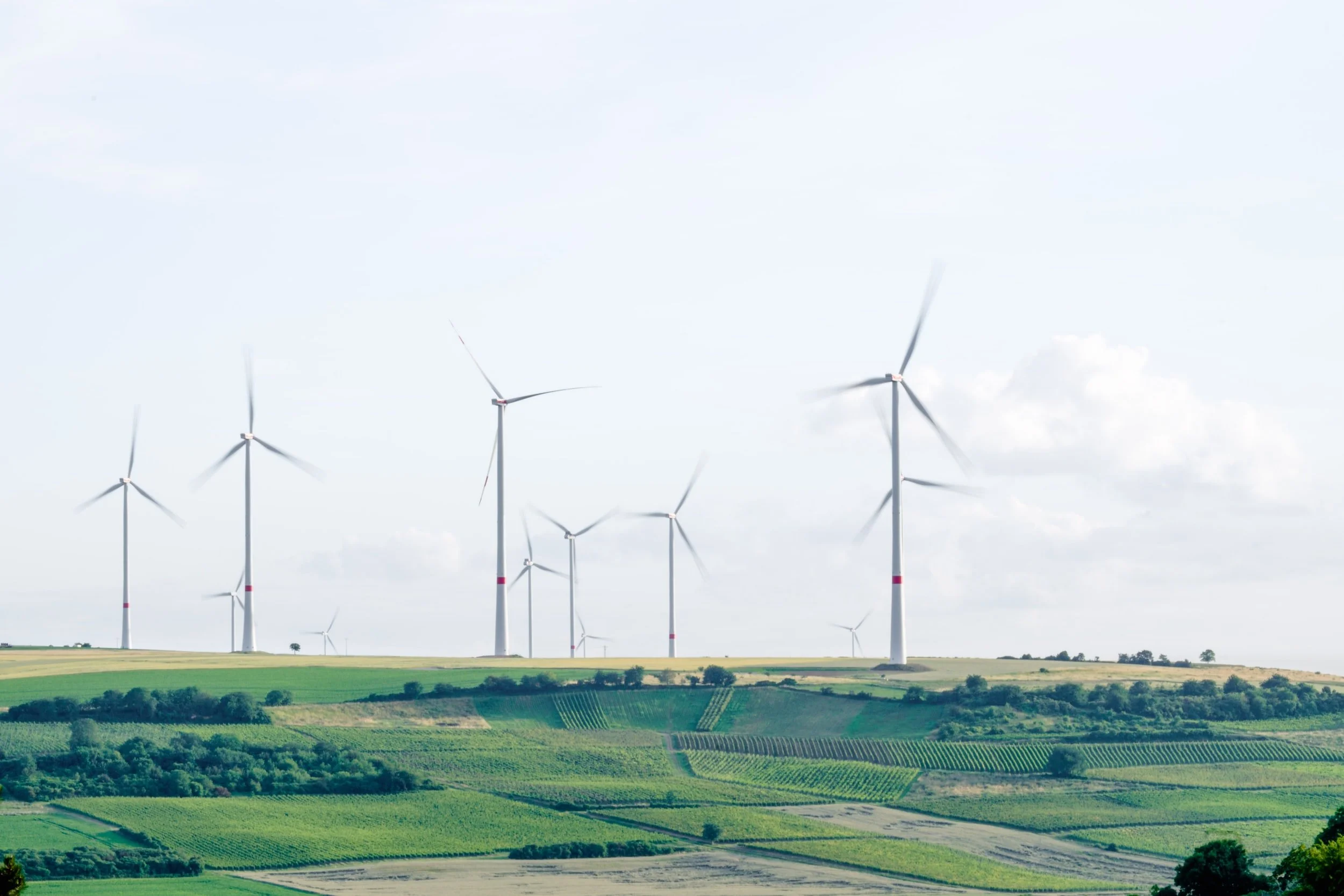 USDA Invests $9M to Expand Reach