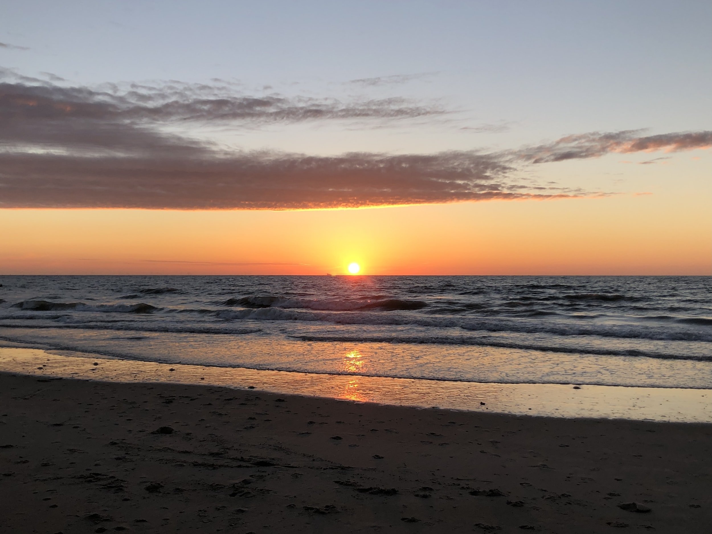 City Funding Will Protect the Health and Productivity of Bays and Estuaries