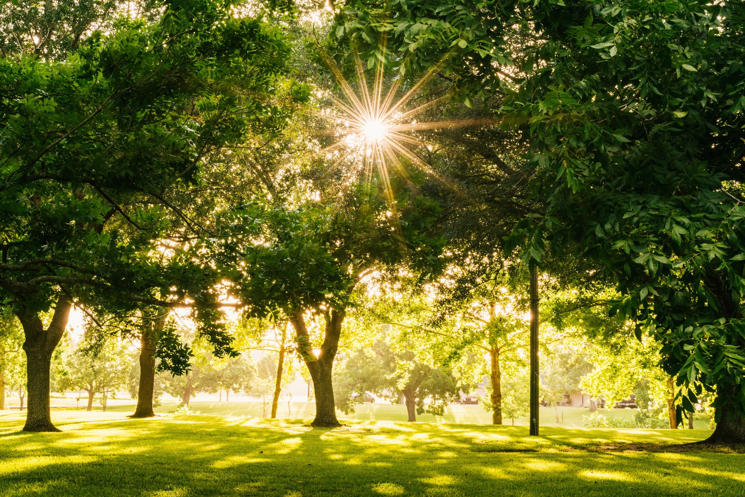 Project Will Allow Doubling of Labonte Park