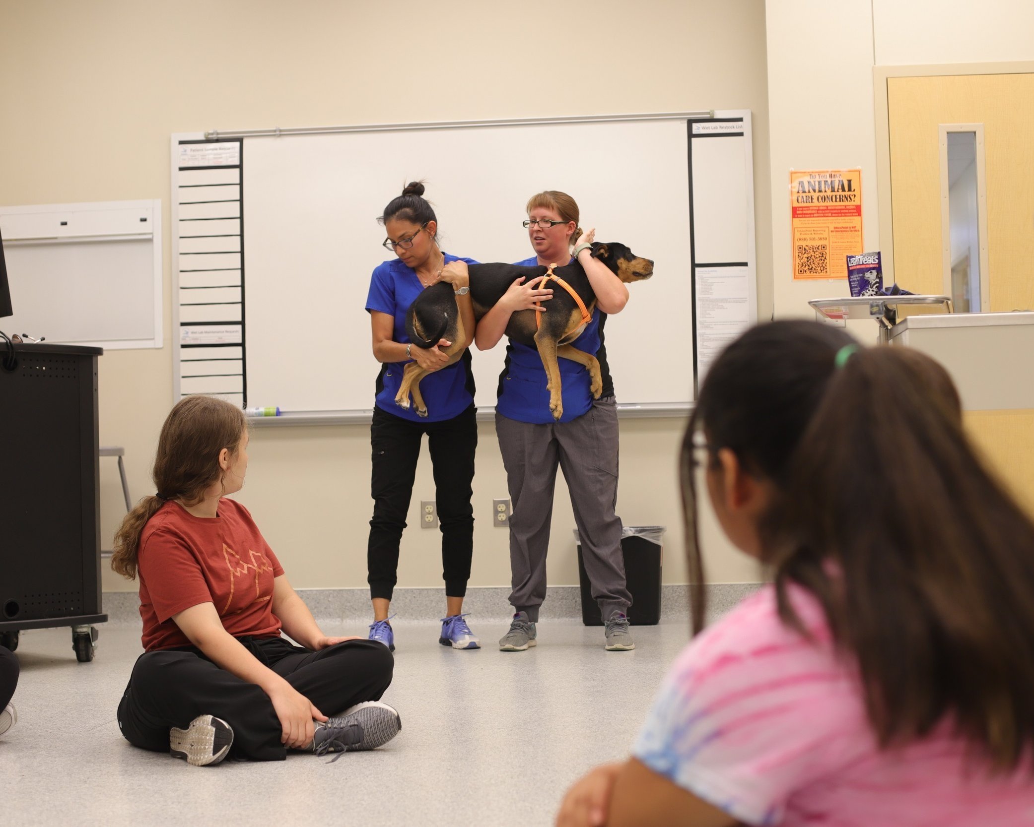 Texas A&M-Kingsville’s Hands-on Veterinary Technology Camp