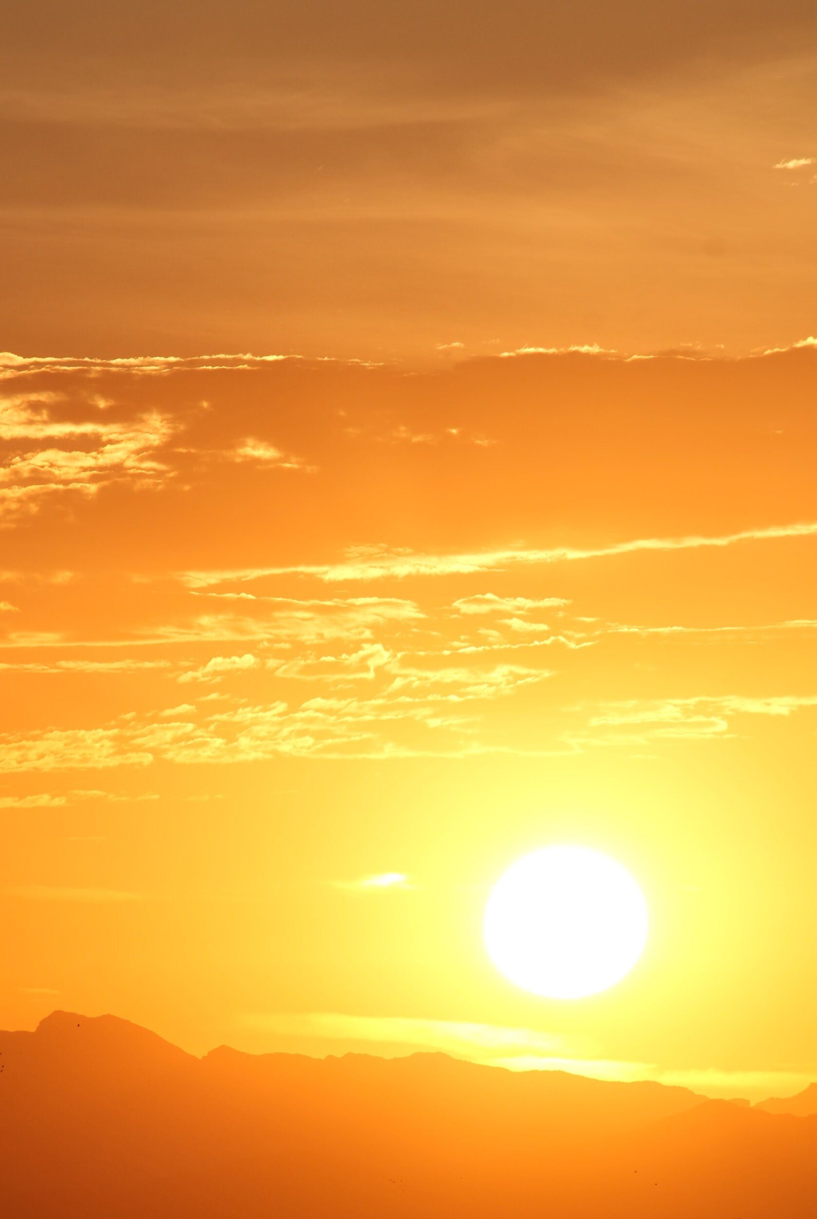 Heat-Related Dangers