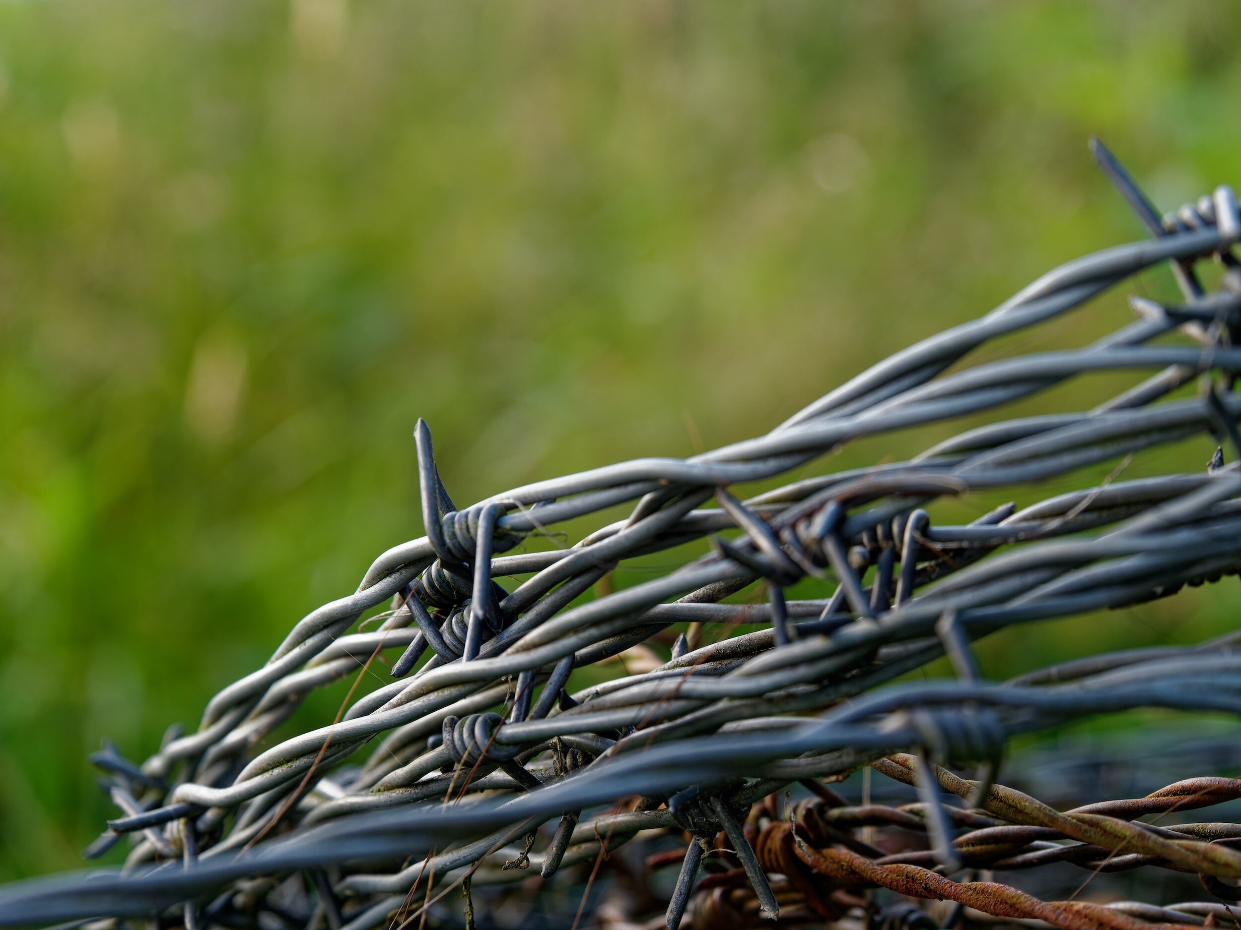 Texas Sues to Stop Border Patrol Agents from Cutting State’s Razor wire at the Border