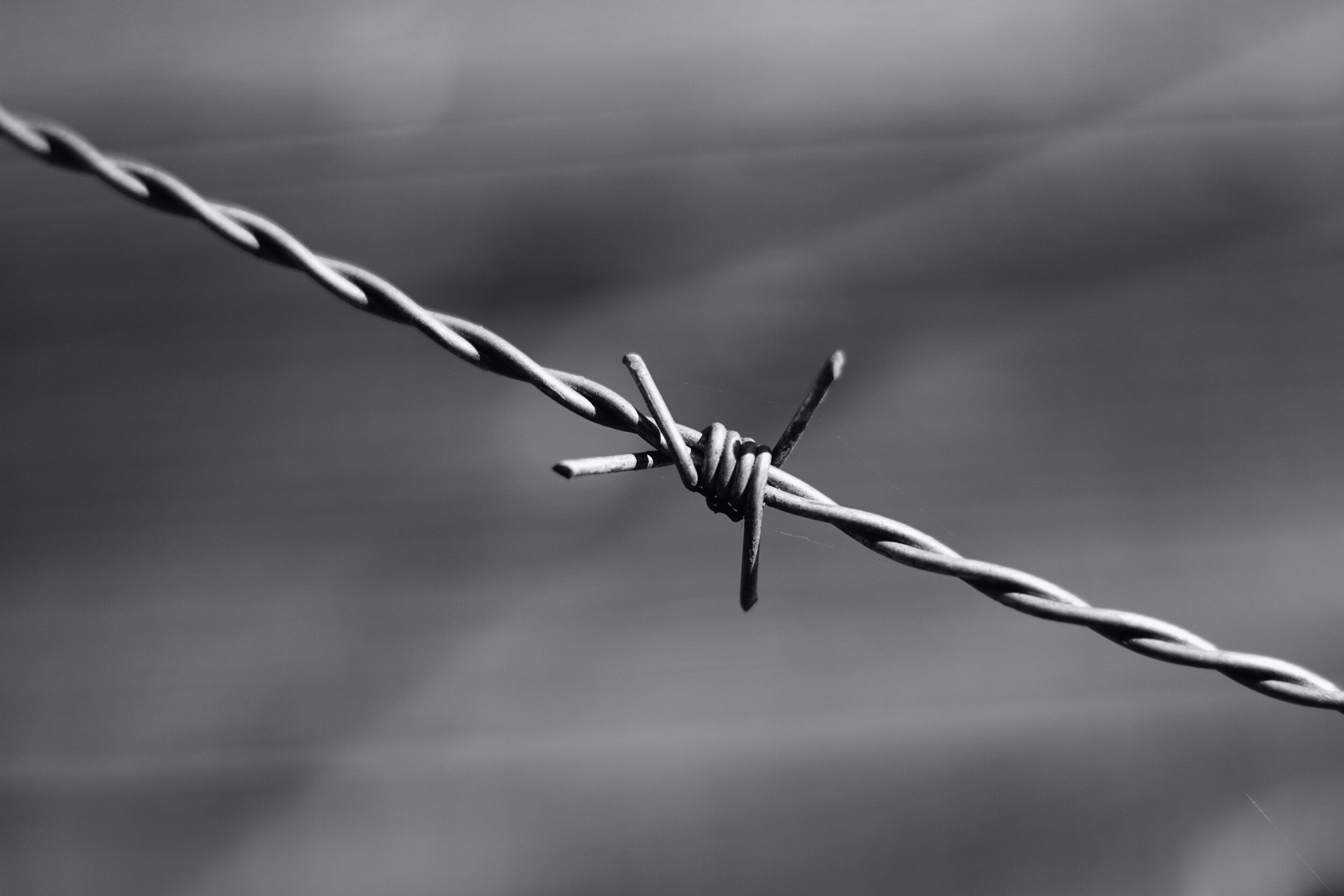 Federal Judge Orders Immigration Agents to Stop Removing Texas’ Concertina Wire