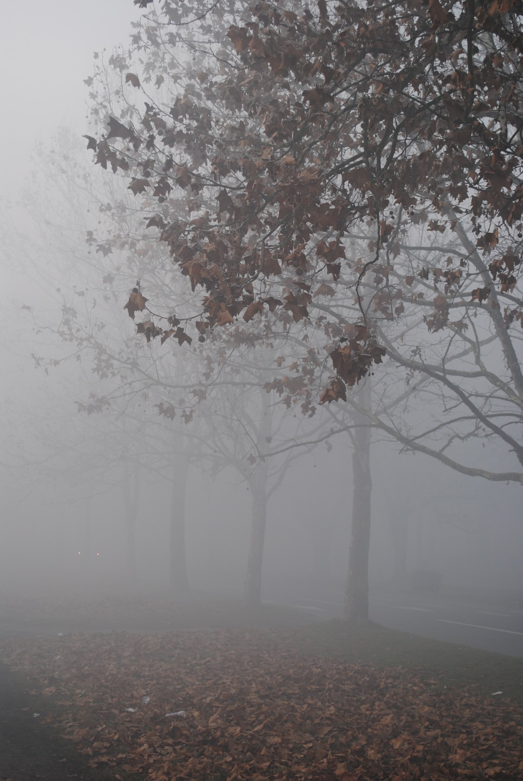 Protect People, Property and Pets During Freezing Conditions