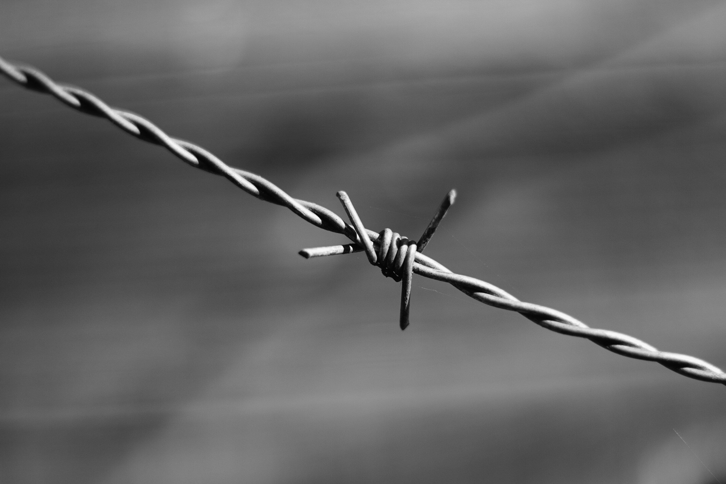Paxton Responds to SCOTUS Ruling on Concertina Wire Case