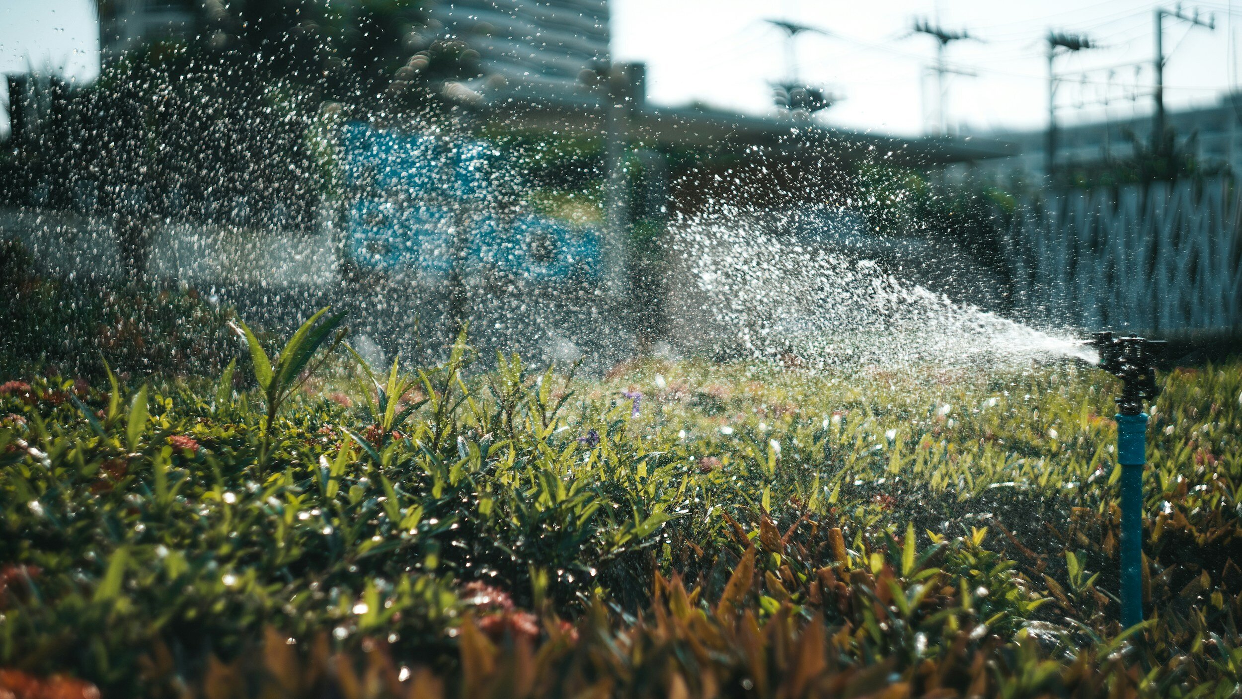 Corpus Christi Declares Mandatory Stage 2 Water Restrictions