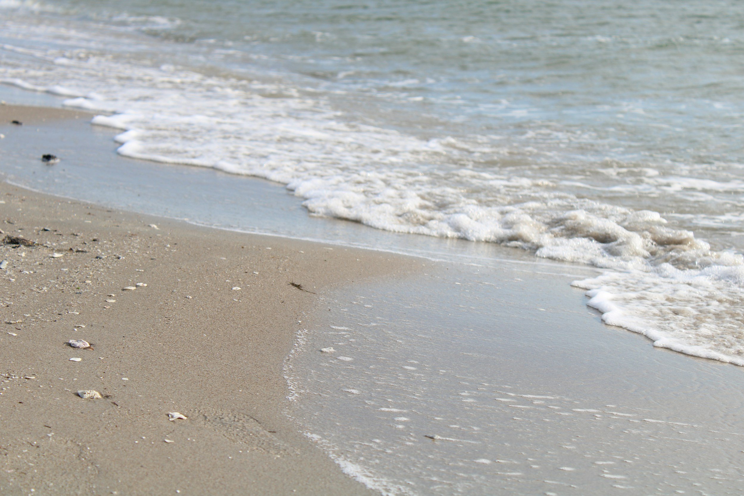 Corpus Christi Continues to Monitor Coastal Flooding