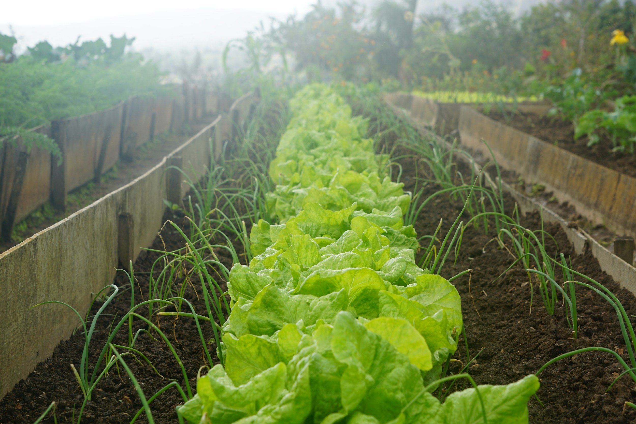 $70M Awarded for Agricultural Research