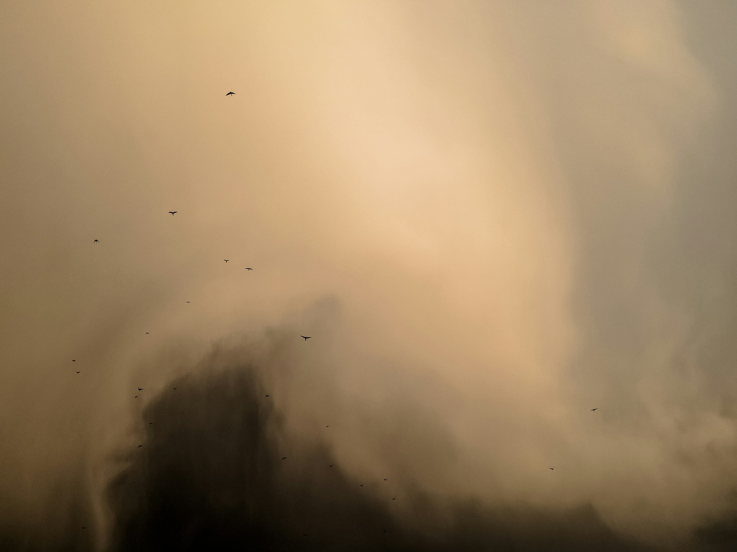 Saharan Dust Expected in Coastal Bend this Week July 24th