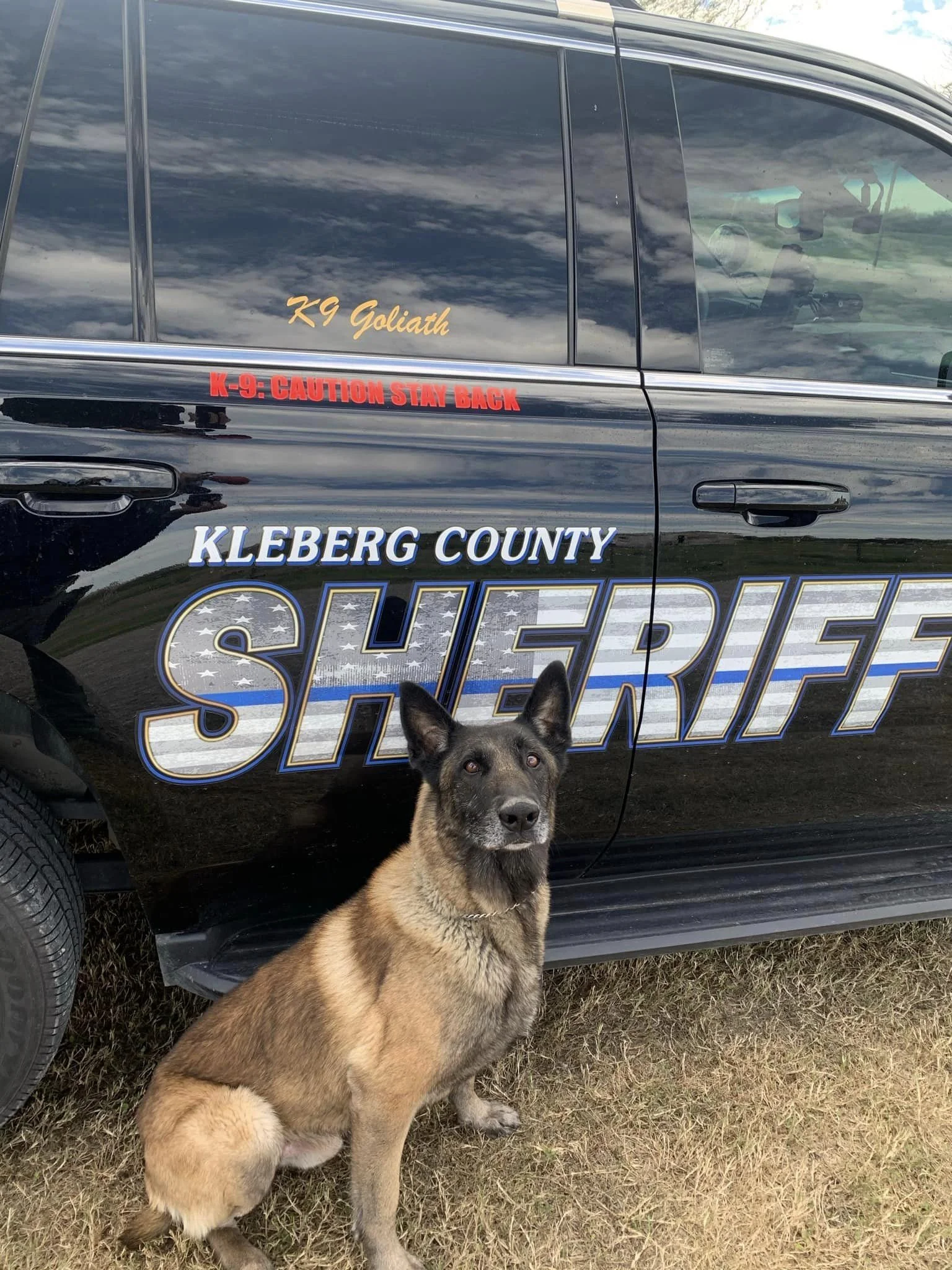 k9 5.jpg