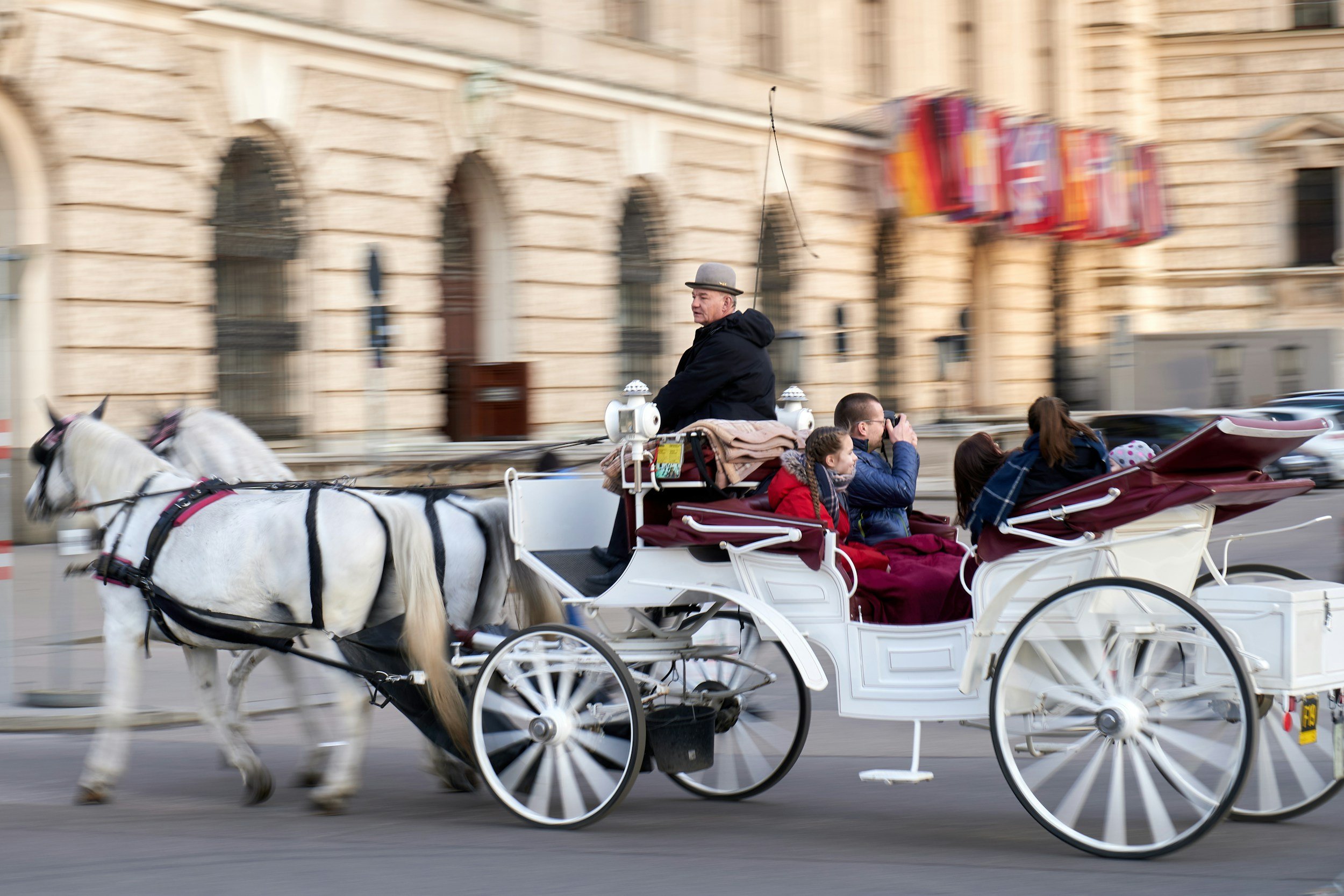 Hit and Run Involving Horse-Drawn Carriage