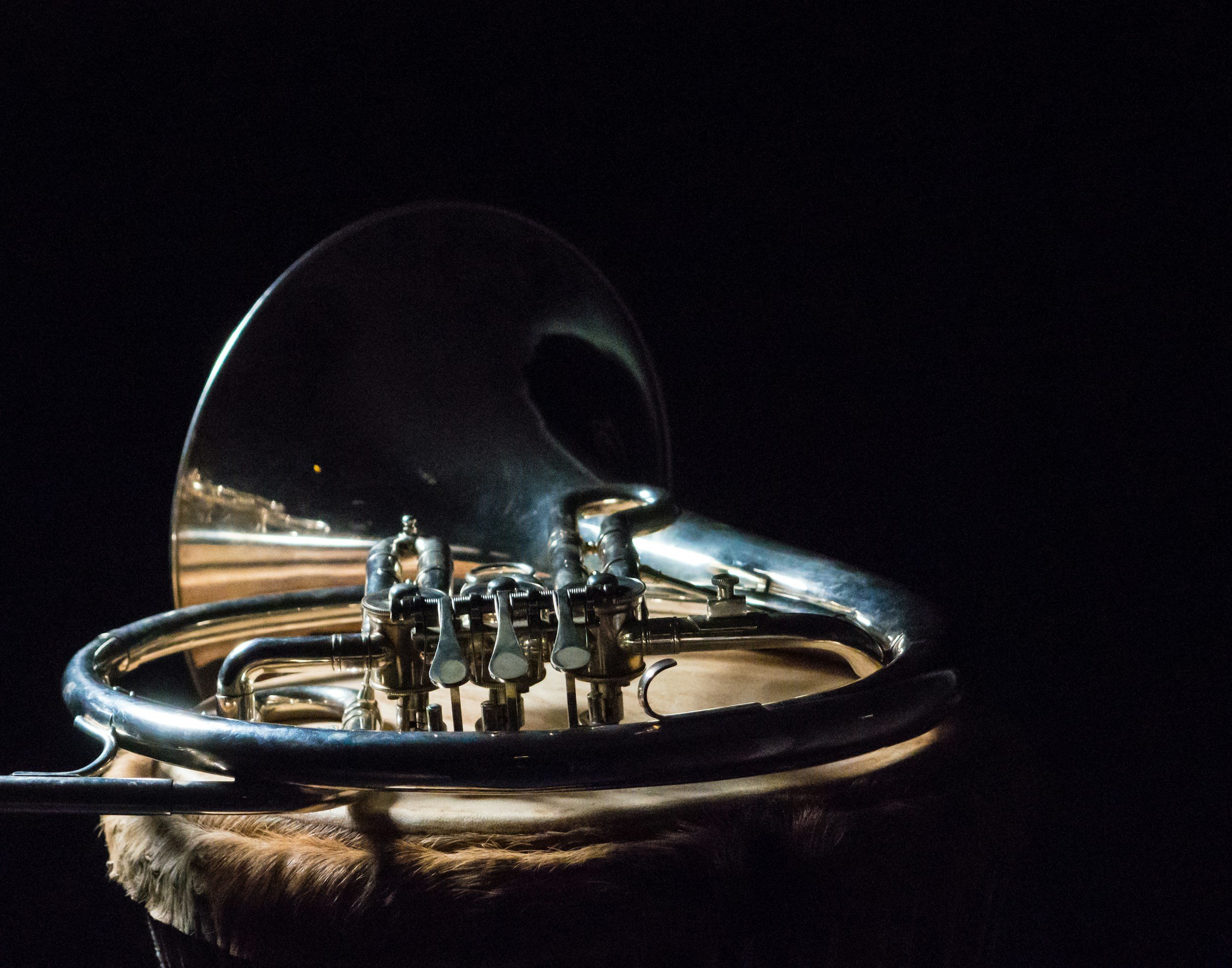 Low Brass Studio Recital at Del Mar College