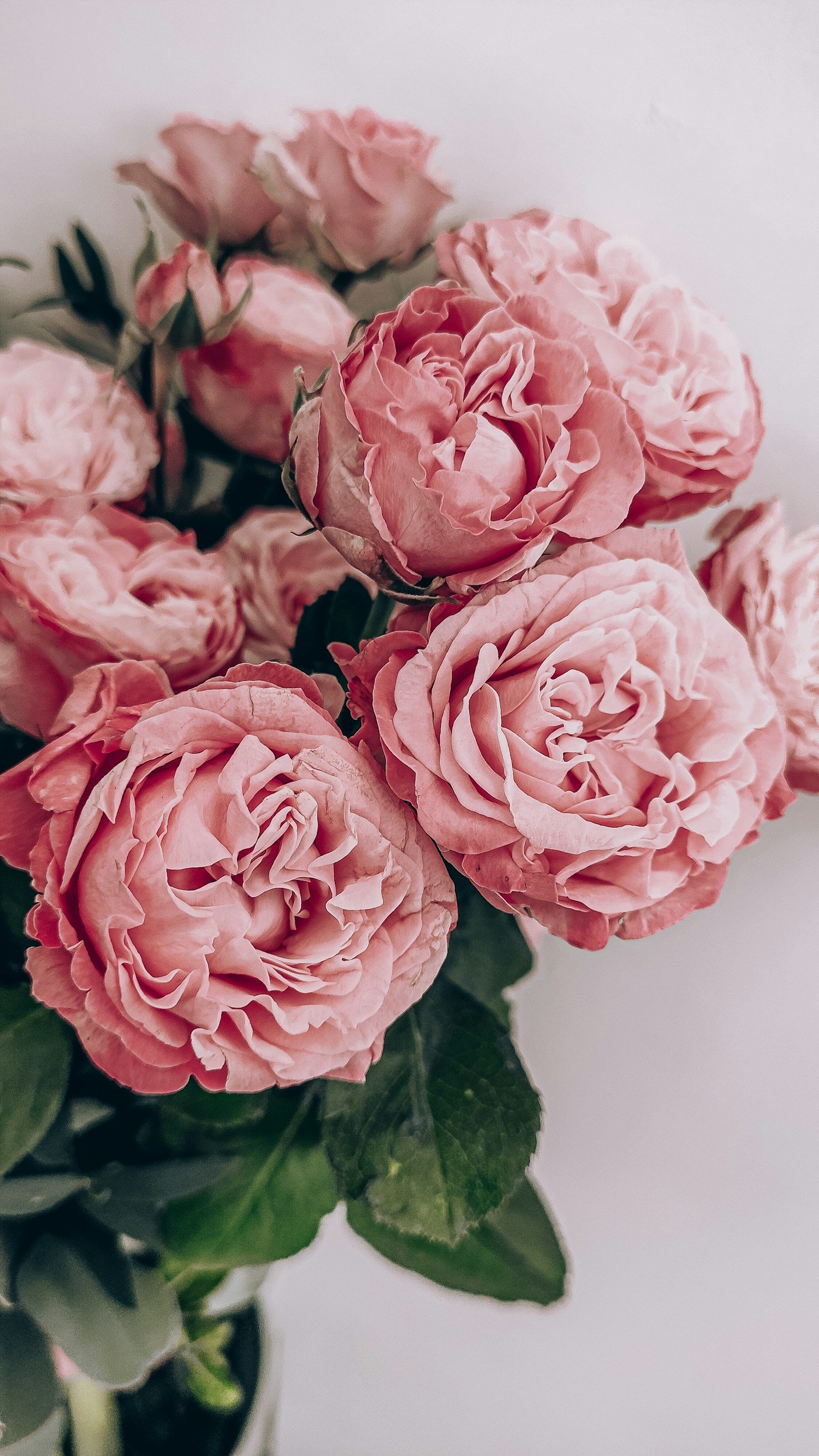 Ag Specialists Keep Mother’s Day Flowers Safe