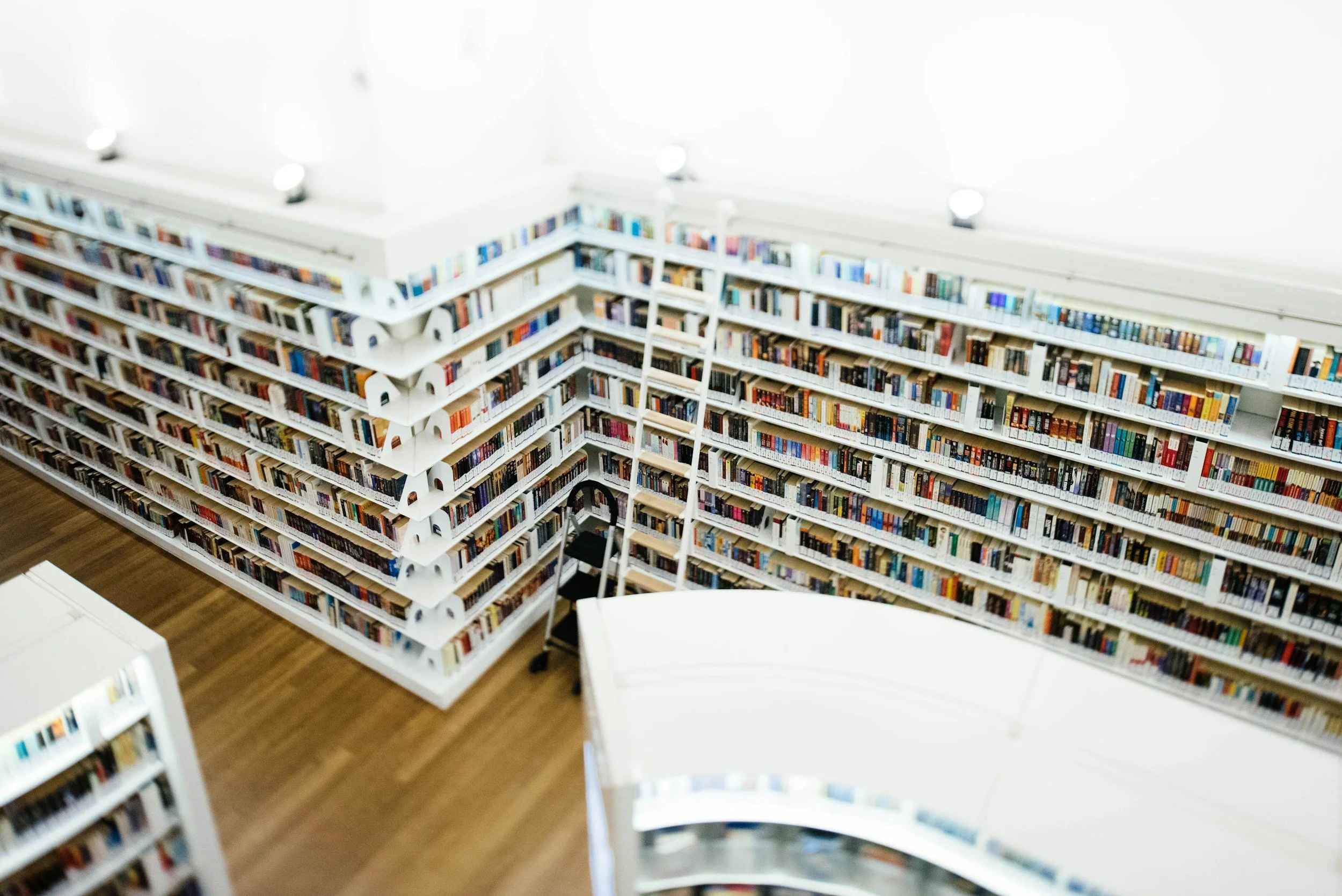 Corpus Christi Public Libraries Engagement Soars