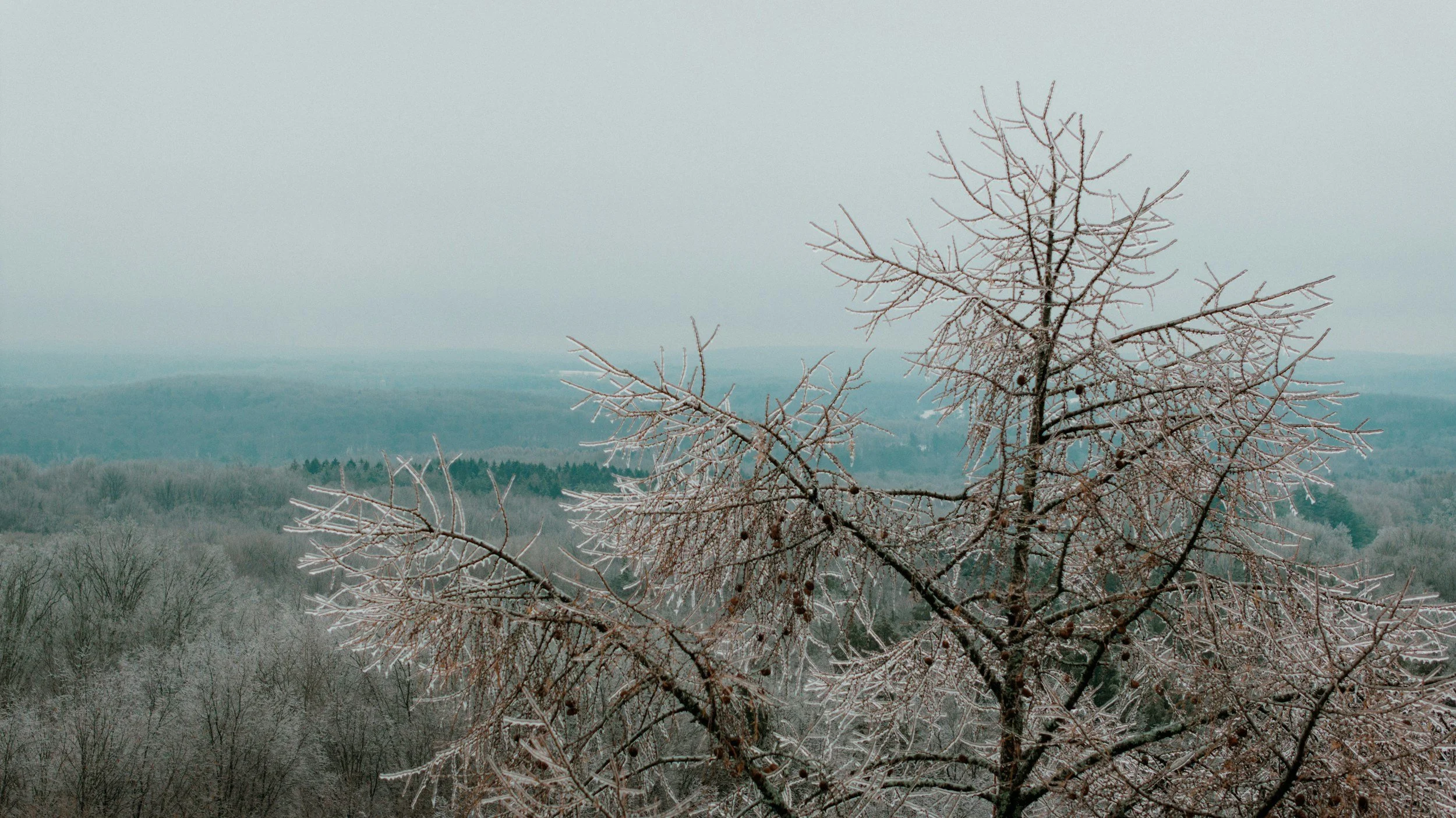 Is the Texas Power Grid Ready for Another Winter Storm?