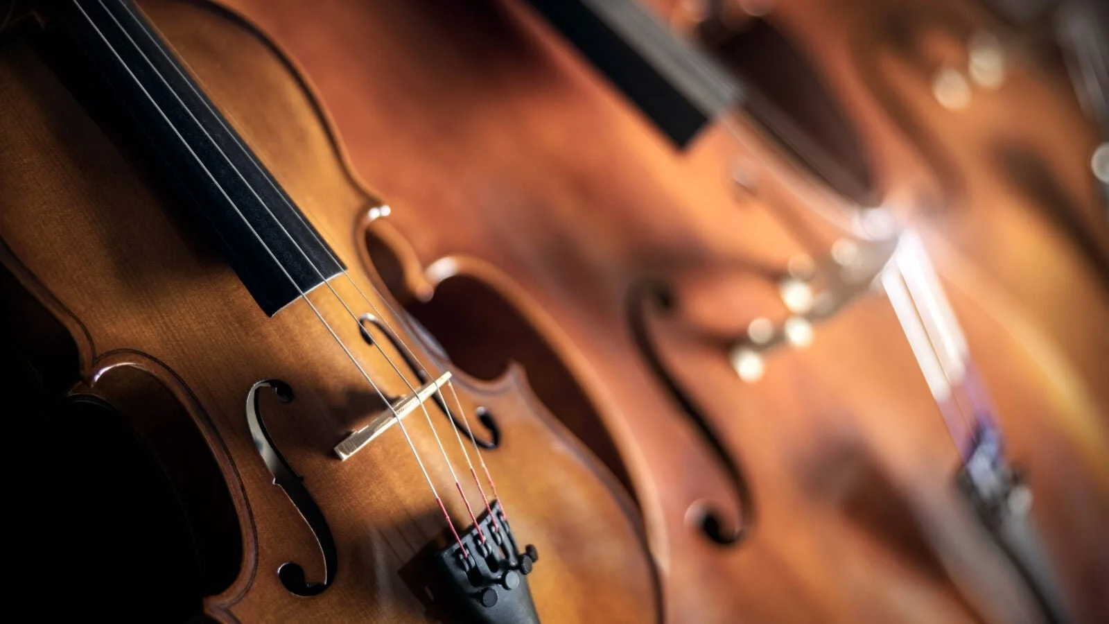 Corpus Christi Chamber Orchestra at Del Mar College Presents a Spring Concert