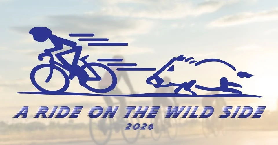 A Ride on the Wild Side 2026