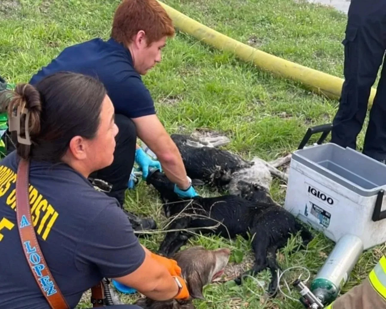  Photos courtesy of Nueces County ESD 2. 