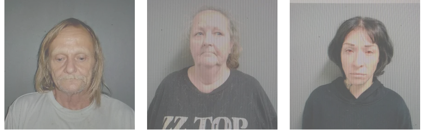Three Arrested on Drug Charges Following Search Warrant in Ingleside School Zone